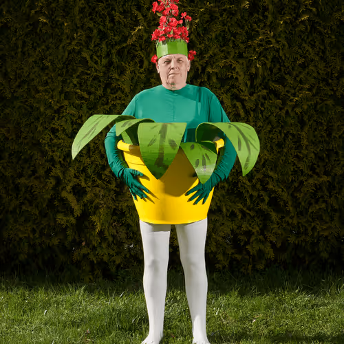 Glue   paper  scissors