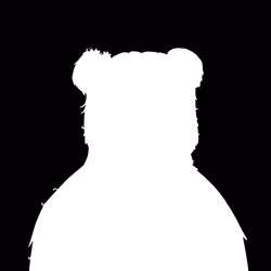 Wildfire Bear #386