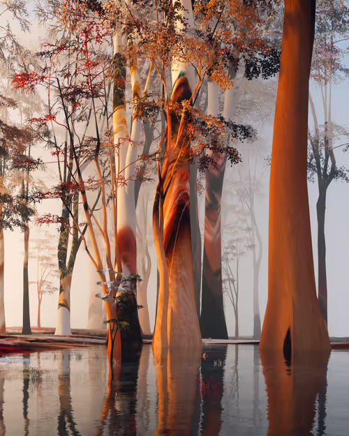 Item #56500810001 Media