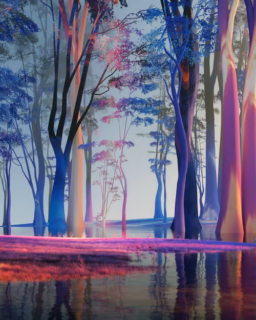 Item #56500670001 Media