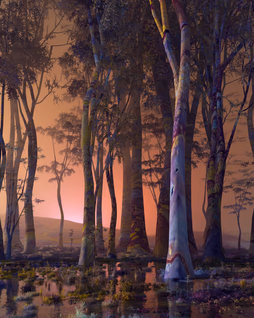 Item #56500160001 Media