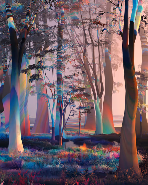 Item #56500820001 Media