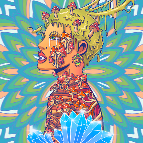D3LUSION #1643