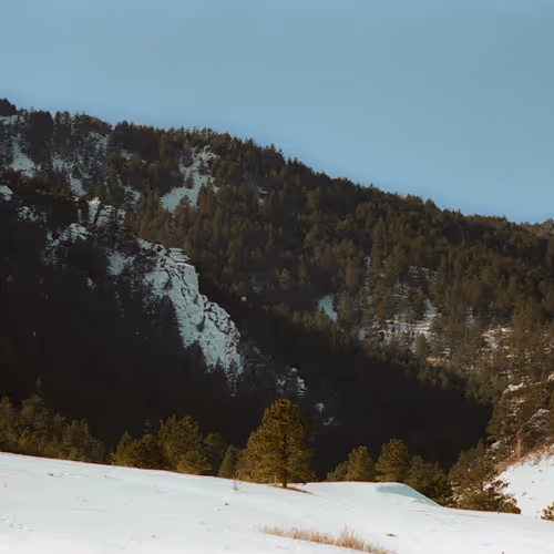 Mochima, The Ghost Donkey