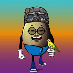 EGGZO #773