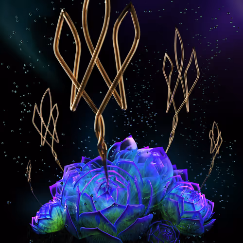 Cosmic Succulents