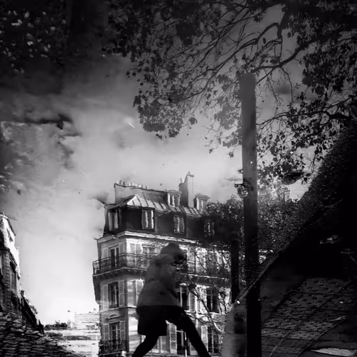 Over The Parisian Roofs