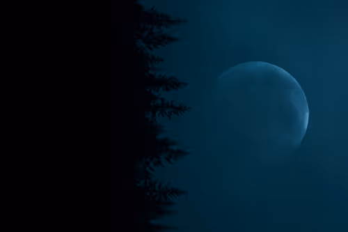 Item #34447129005279504936620327963707625751 Media