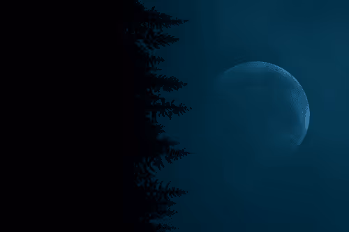 Item #315770026235850299446480073452444129002 Media