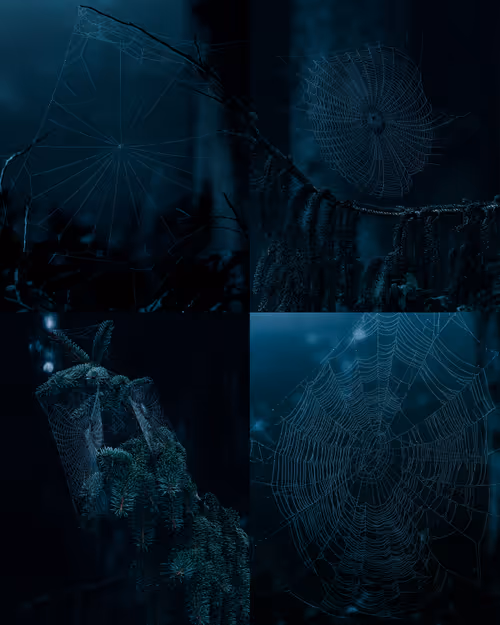 Item #6061171591468938110125988728326952465 Media