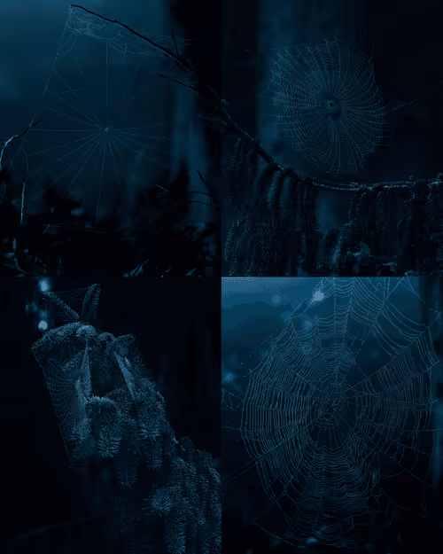 Item #193444525188737265615248472444941336754 Media