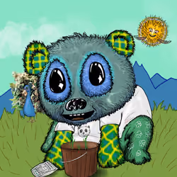 Positive Panda #800
