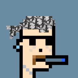 Rich Punk #5008