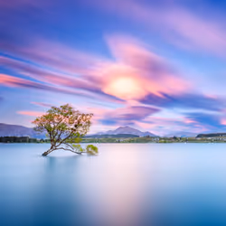 That Wanaka Cloud #31/40