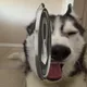 187