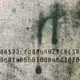 281