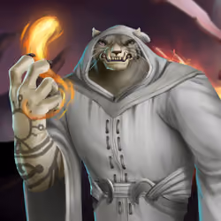 Wizard 116