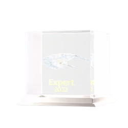 yWhales 2022 Expert