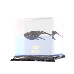 yWhales 2022 VIP