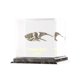 yWhales 2022 Investor