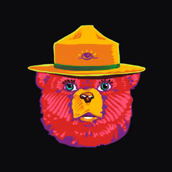 Aware Bear