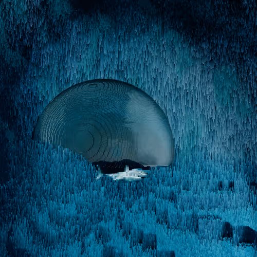 Fortune Teller Tier 3: Animal by Corbin Bell