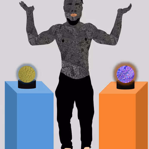Fortune Teller Collection