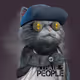 1154