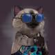 1676