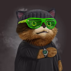 Chronocat #796