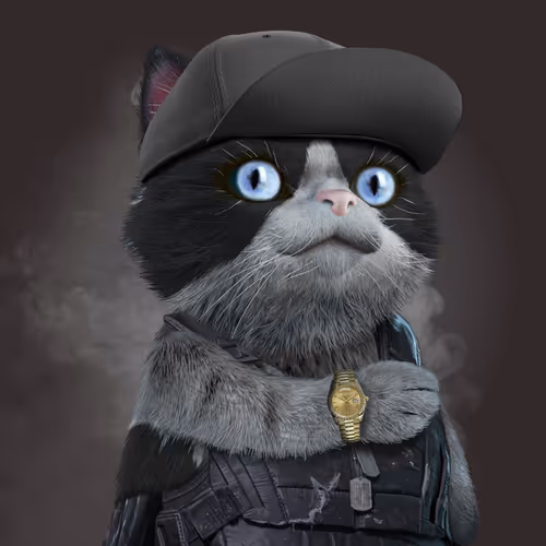 Chronocatzcc