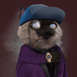 Chronocat #1543
