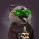 2766
