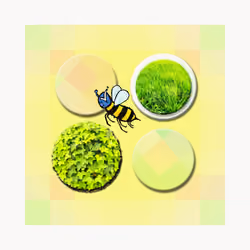 Blue Check Bee