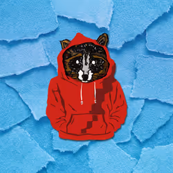 T Panda