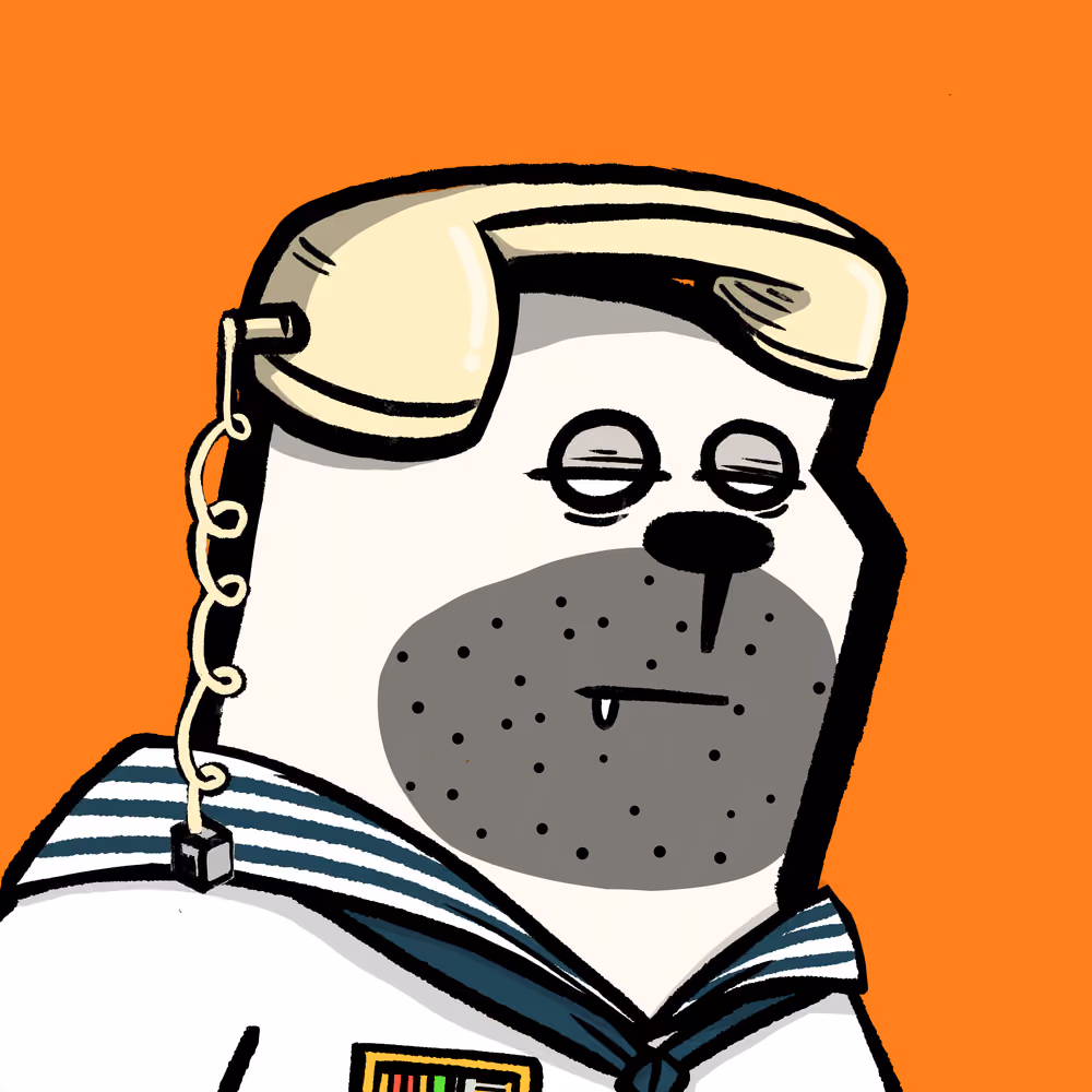 Bear #43