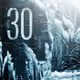 NOTES ON 30