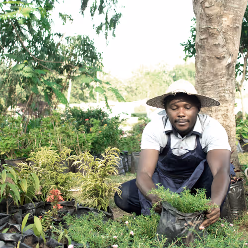 african rural farmer