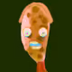 16