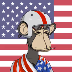 The Bored Ape Americans #3381