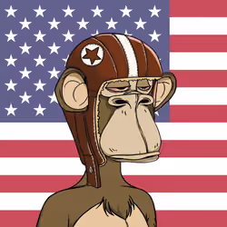 The Bored Ape Americans #531