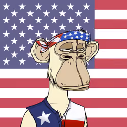 The Bored Ape Americans #3383