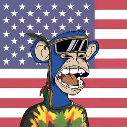 The Bored Ape Americans #211
