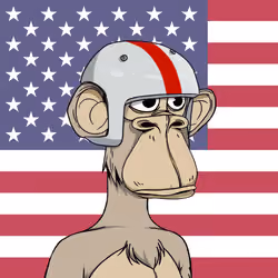 The Bored Ape Americans #557