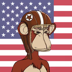 The Bored Ape Americans #4544