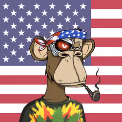 The Bored Ape Americans #1651