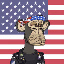 The Bored Ape Americans #4541