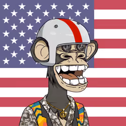 The Bored Ape Americans #904