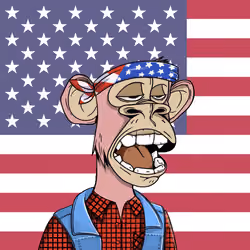 The Bored Ape Americans #210