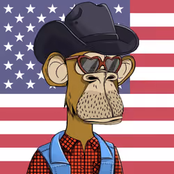 The Bored Ape Americans #3384